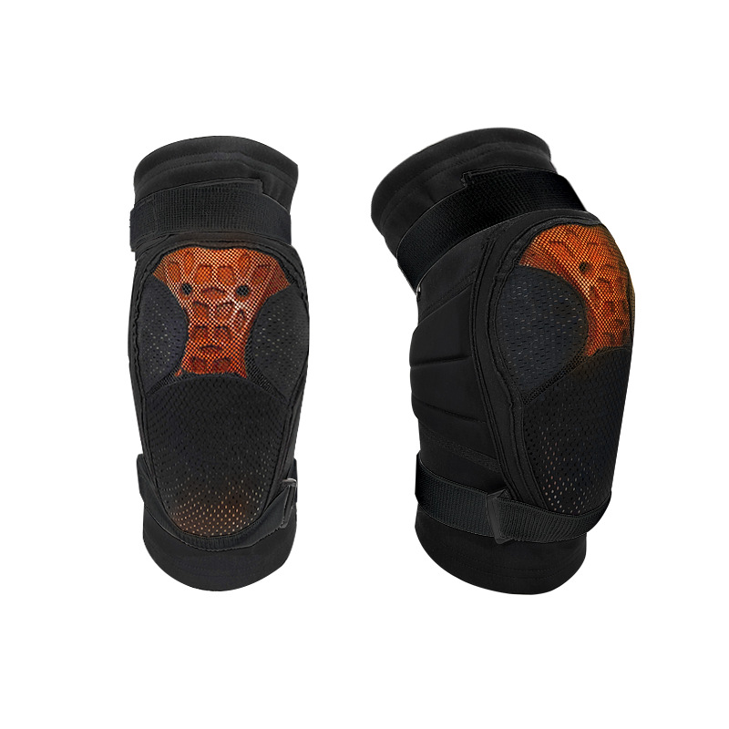 Beschermende uitrusting voor v - Motorcycle Gear Alpine recensie en prijs